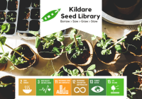 Kildare Seed Library 2024